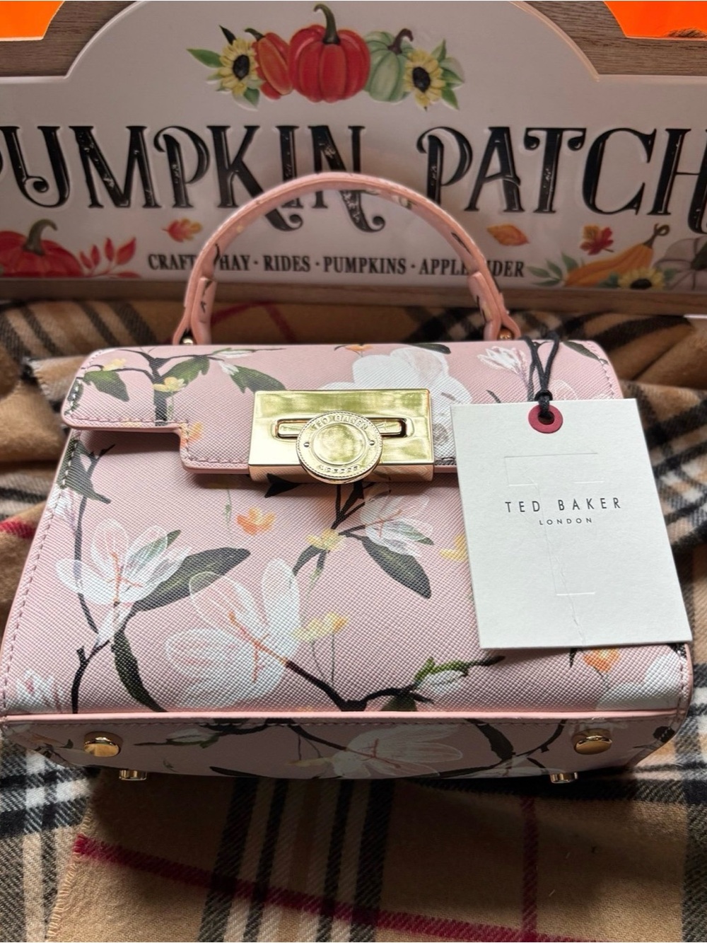 Ted Baker London Structured Mini Lili Satchel